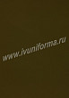 Расцветка 2